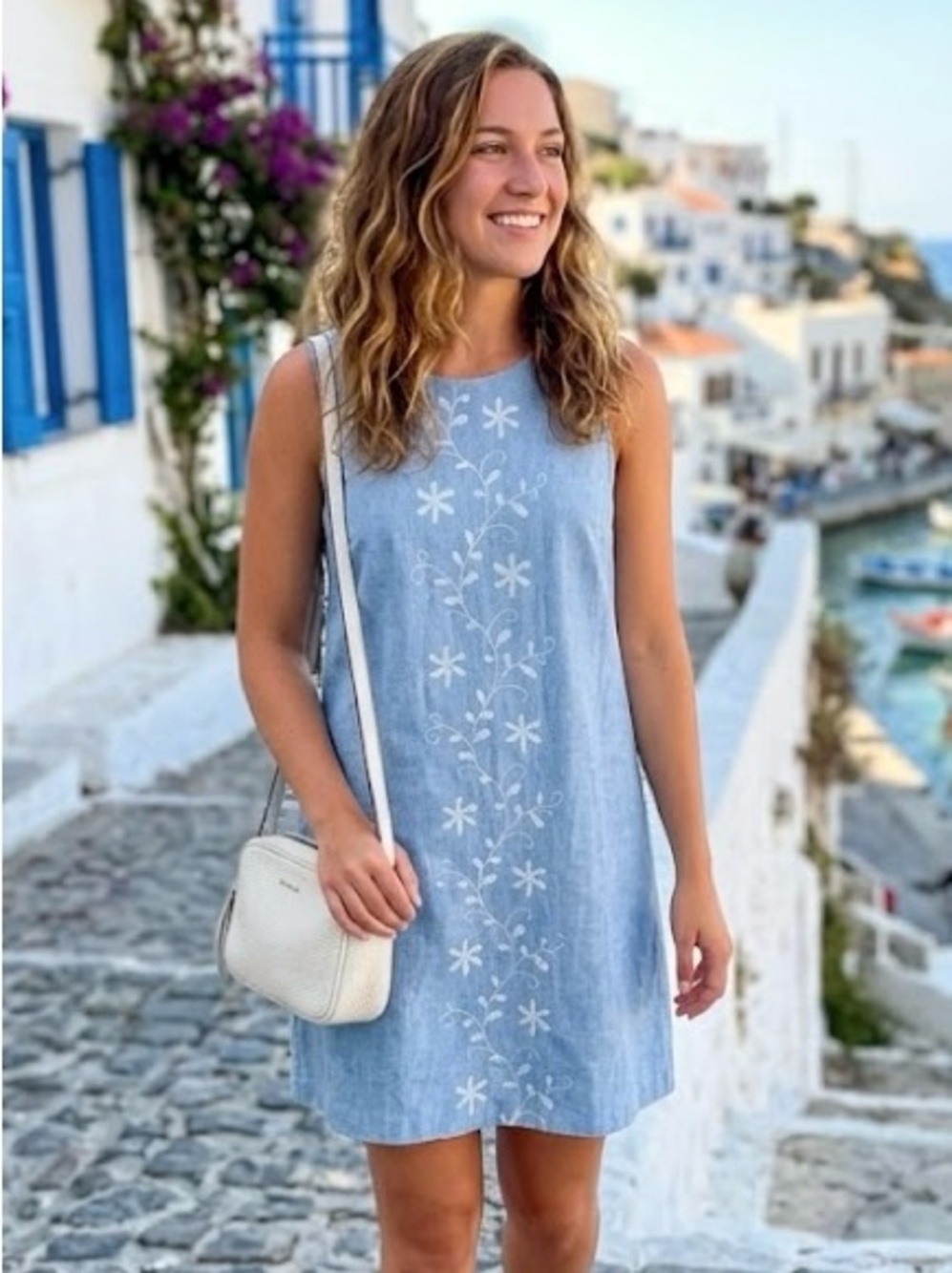 Cynthia Steffe Shift Mini Dress Embroidered Sleeveless Light Blue Size 4
